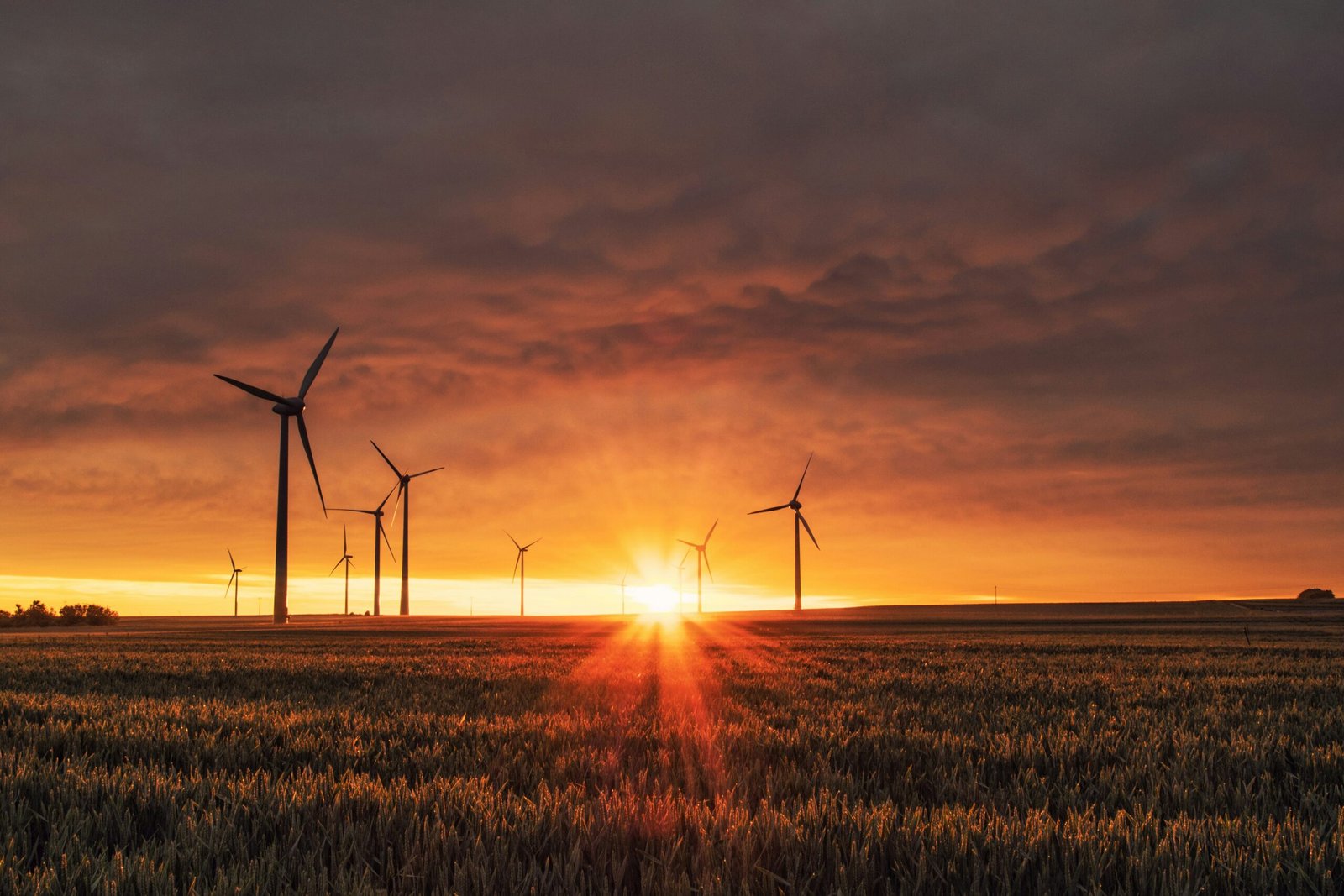 Cómo el cambio climático impactará en el 70% de la población mundial